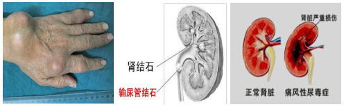 Fꖏ(qing)ֱt(y)ԺʹL(fng)Ɍ(do)ʹL(fng)ʯIY(ji)ʯIK.jpg
